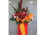 Congratulatory