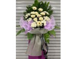 Occasions
