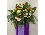 Occasions
