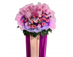 Congratulatory