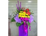 Congratulatory