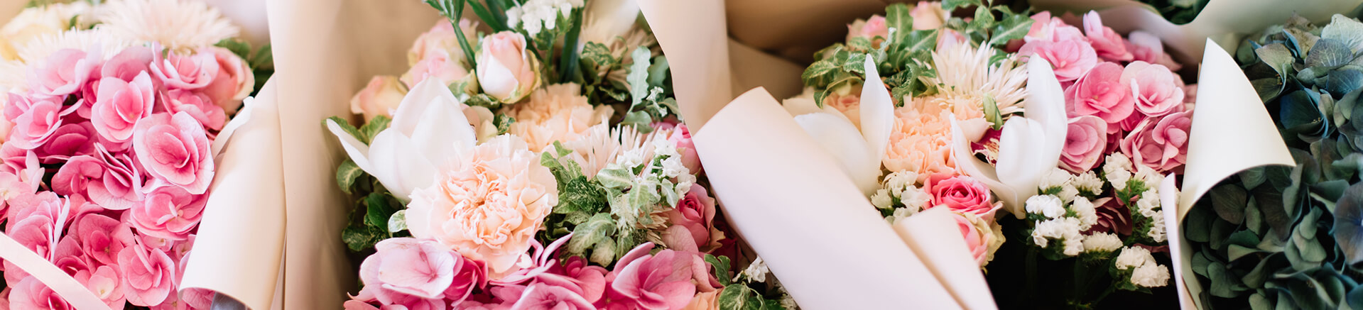 Categories - Banner